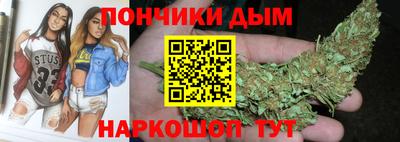 шишки Заводоуковск