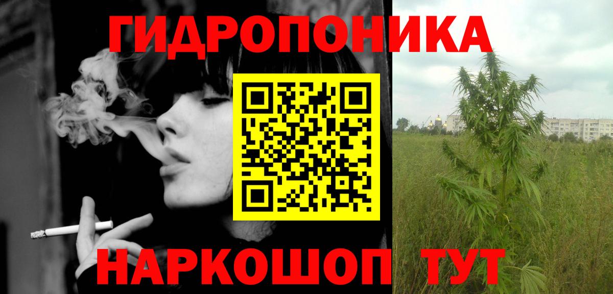 Курчатов  Бошки марихуана тримм  Конопля MAZAR  Бошки марихуана VHQ  МАРИХУАНА White Widow  Вход с VPN 
